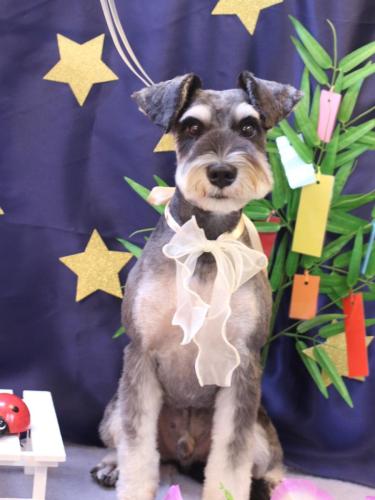 20230726マロ助くん